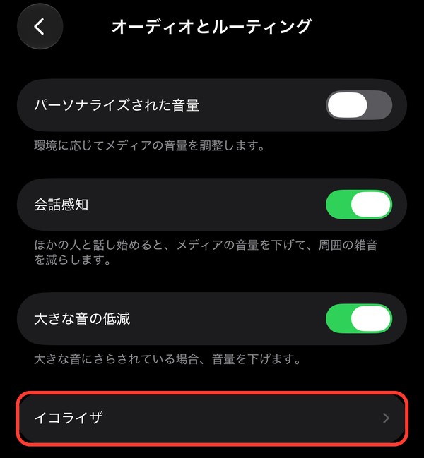 「オーディオとルーティング」の画面。「イコライザ」を選ぶ